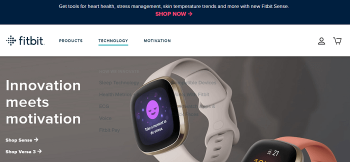 fitbit Health and Wellness Brands